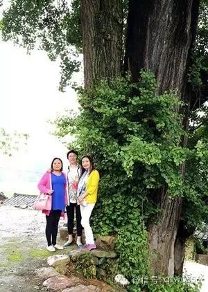 璧伴亶娼滃北,璧伴亶瀹夊窘瀹夊簡