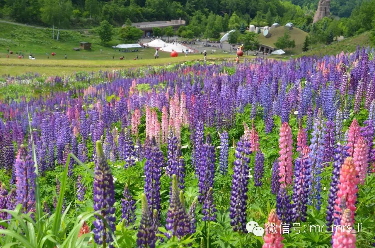 在这些TOPCITY,带着Baby也能过个完美的假期