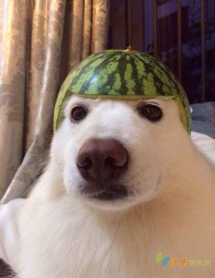 夏日遮阳帽手工最简单的,夏日遮阳帽手工儿童