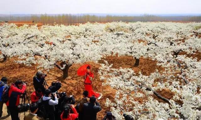 不能更赞：没想到你是这样的邹城