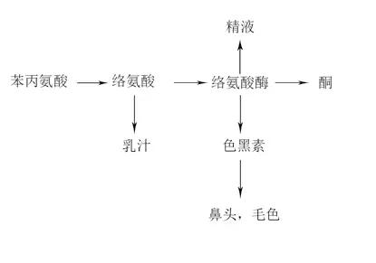 铲屎官医学常识,铲屎官做的最没意义的事