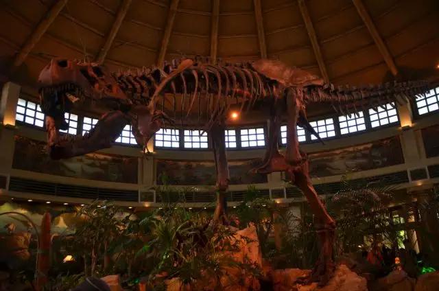 大阪环球影城自由行热门攻略,日本大阪环球影城美食攻略