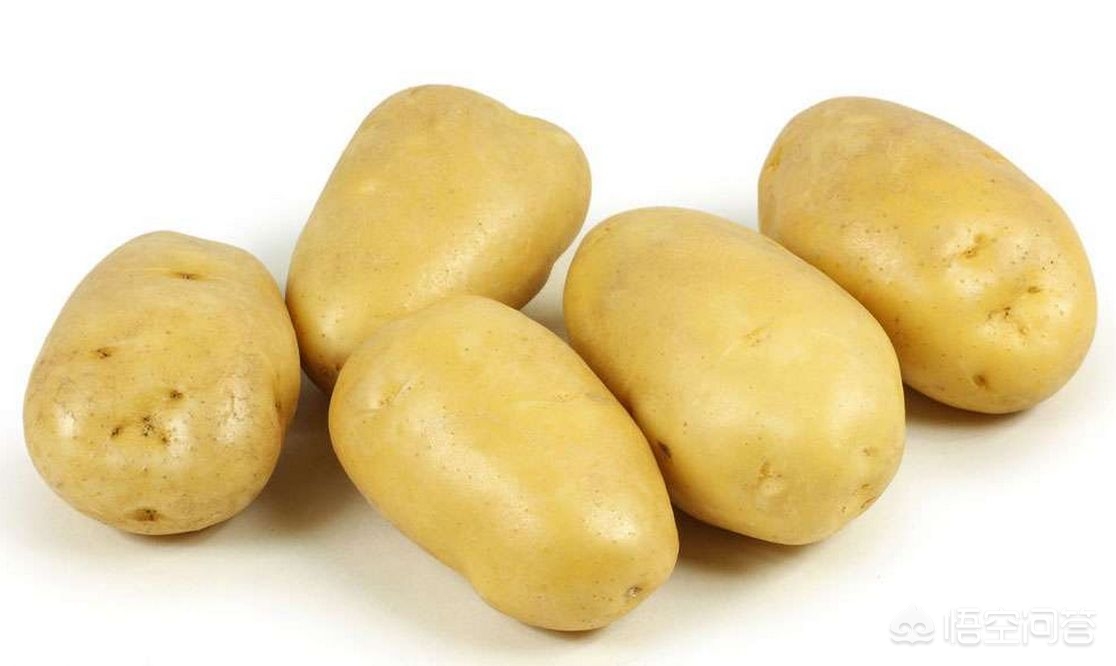 怀孕后可以吃薯片吗,怀孕后可以吃汉堡薯条吗