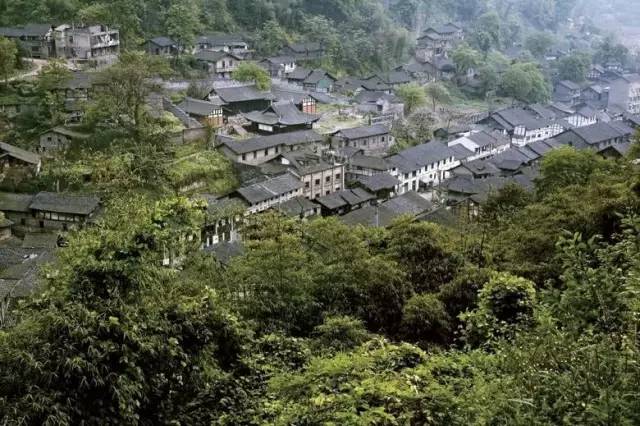 张家界到重庆自驾游攻略及费用,西安到张家界到重庆旅游攻略