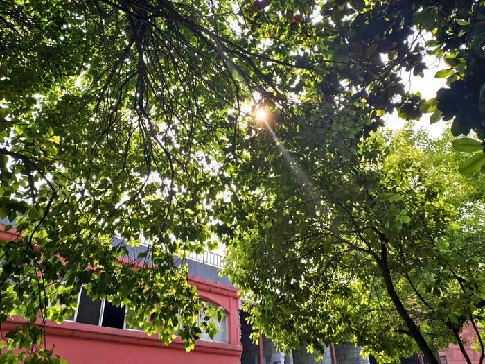 vivoxplay5体验,vivoxplay5标准版和旗舰版