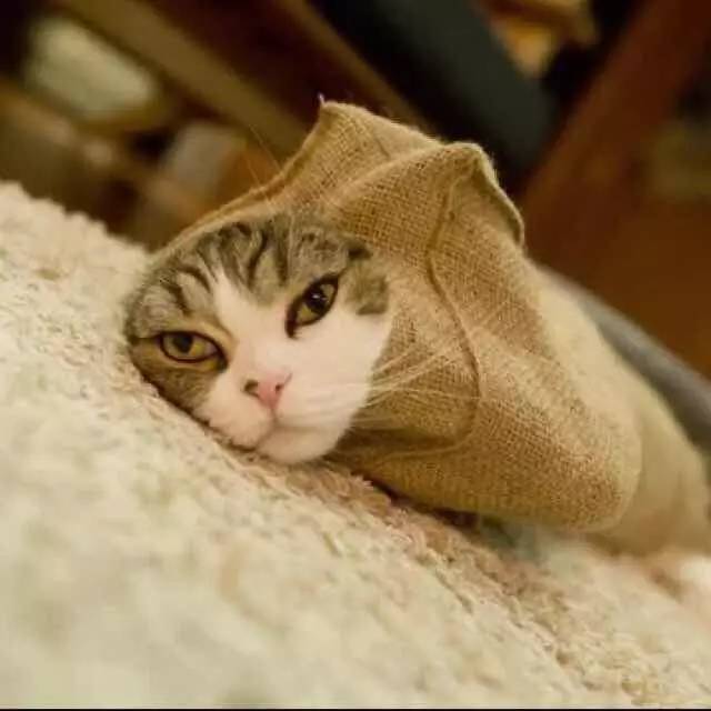 人生苦短不能吃的东西,人生苦短只买经典款