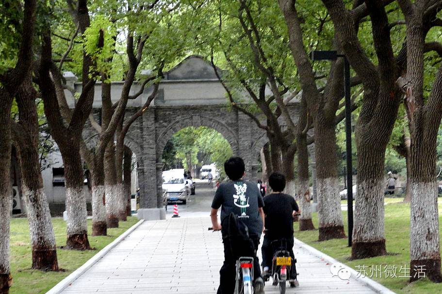 苏州最牛的十所初中,苏州市最牛高中排名
