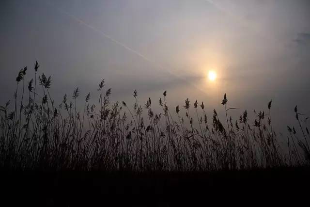 为什么要落户青岛,在青岛定居的真实感受