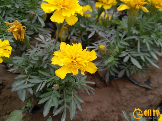 zukz2测评,小巧性能强悍的笔记本电脑