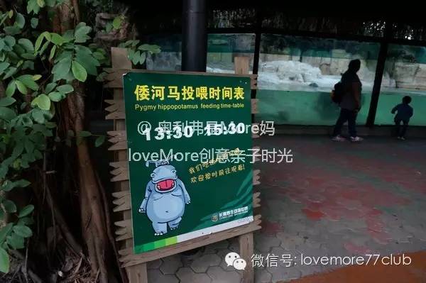 广州旅游攻略长隆野生动物园,广州长隆野生动物园自由行攻略