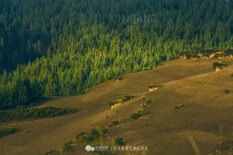 九色甘南香巴拉第十四届赛马节,甘南九色香巴拉旅游艺术节歌曲