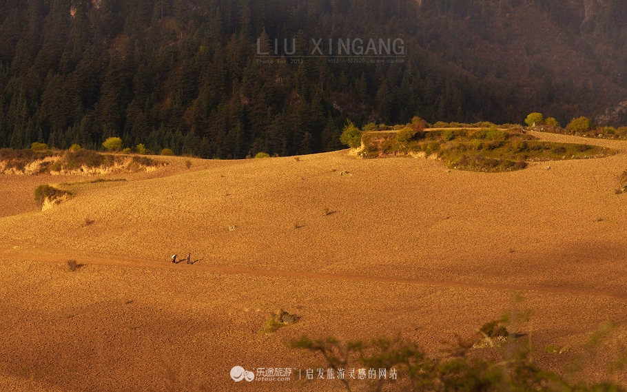 九色甘南香巴拉第十四届赛马节,甘南九色香巴拉旅游艺术节歌曲