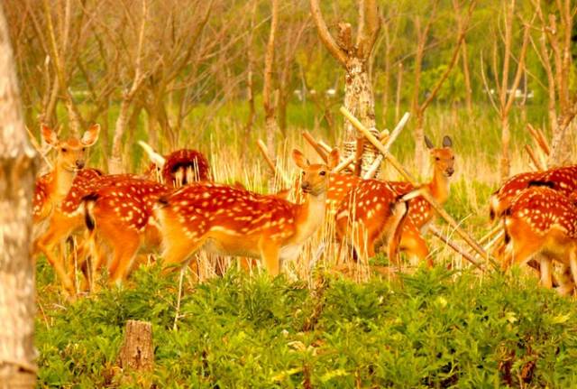 为什么要落户青岛,在青岛定居的真实感受