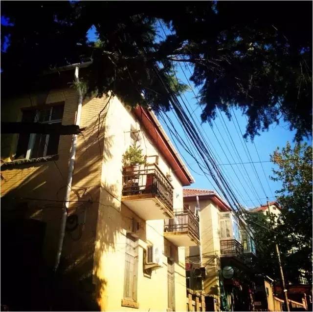 为什么要落户青岛,在青岛定居的真实感受