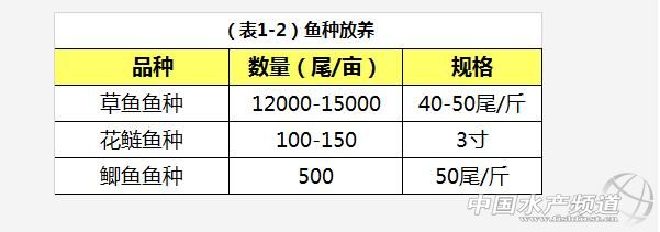 养殖草鱼的技术和视频,养殖草鱼的技术视频教程大全
