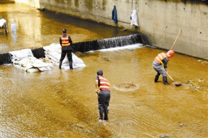 深圳盐田河整治十年成功逆袭到底是如何做到的