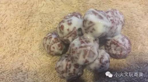 逗逼|大宝和金刚不能说的秘密!