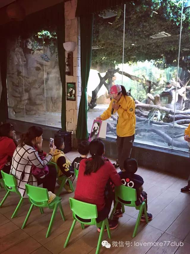 广州旅游攻略长隆野生动物园,广州长隆野生动物园自由行攻略