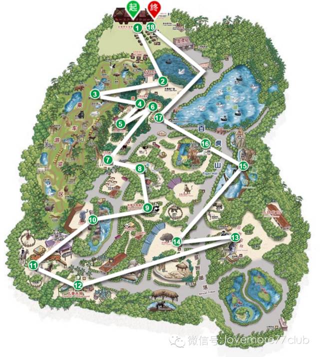 广州旅游攻略长隆野生动物园,广州长隆野生动物园自由行攻略