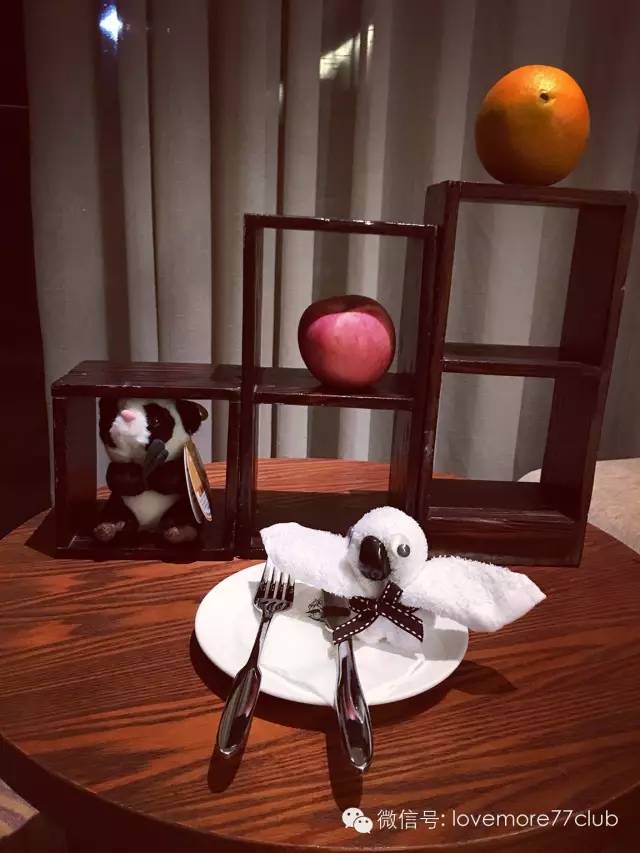 广州旅游攻略长隆野生动物园,广州长隆野生动物园自由行攻略