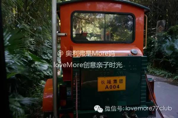 广州旅游攻略长隆野生动物园,广州长隆野生动物园自由行攻略