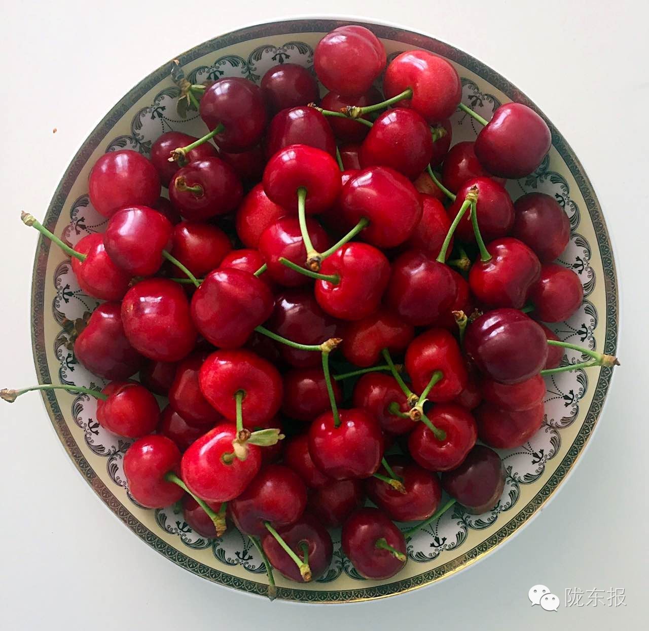 惊呆樱桃红了,美女盛情邀请,你是约呢,约呢,还是约呢!