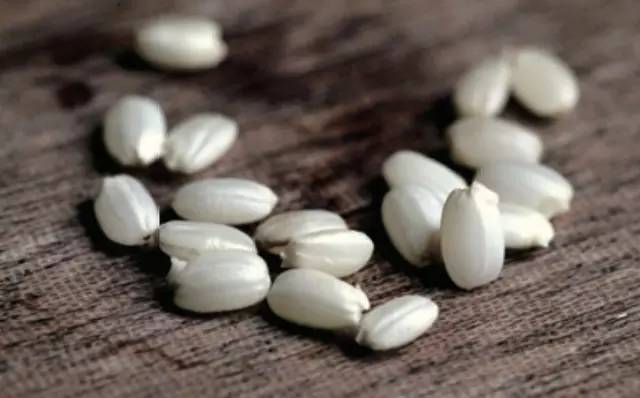 米课｜我打赌，你肯定不会吃米