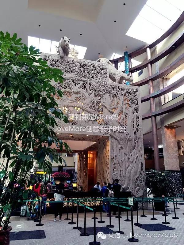 广州旅游攻略长隆野生动物园,广州长隆野生动物园自由行攻略