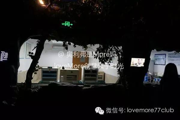 广州旅游攻略长隆野生动物园,广州长隆野生动物园自由行攻略