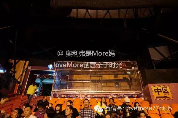 广州旅游攻略长隆野生动物园,广州长隆野生动物园自由行攻略