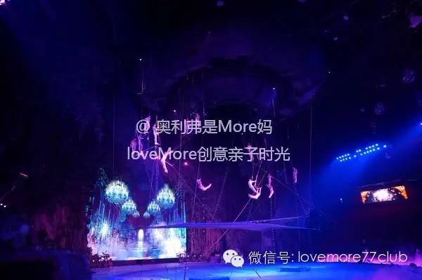 广州旅游攻略长隆野生动物园,广州长隆野生动物园自由行攻略