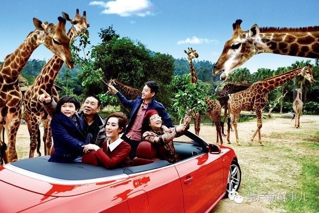 郑州长隆动物园,郑州野生动物园和长隆野生动物园