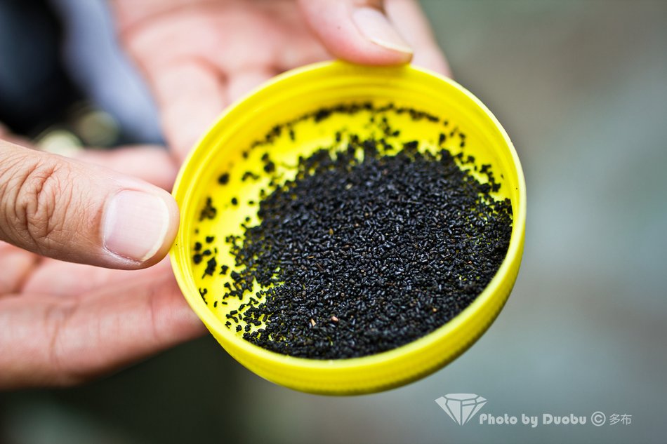 量子解释灵魂转世,量子力学灵魂转世解释