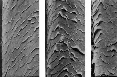 发质不好一定是你没选对吹风机,吹风机发质好还是不好