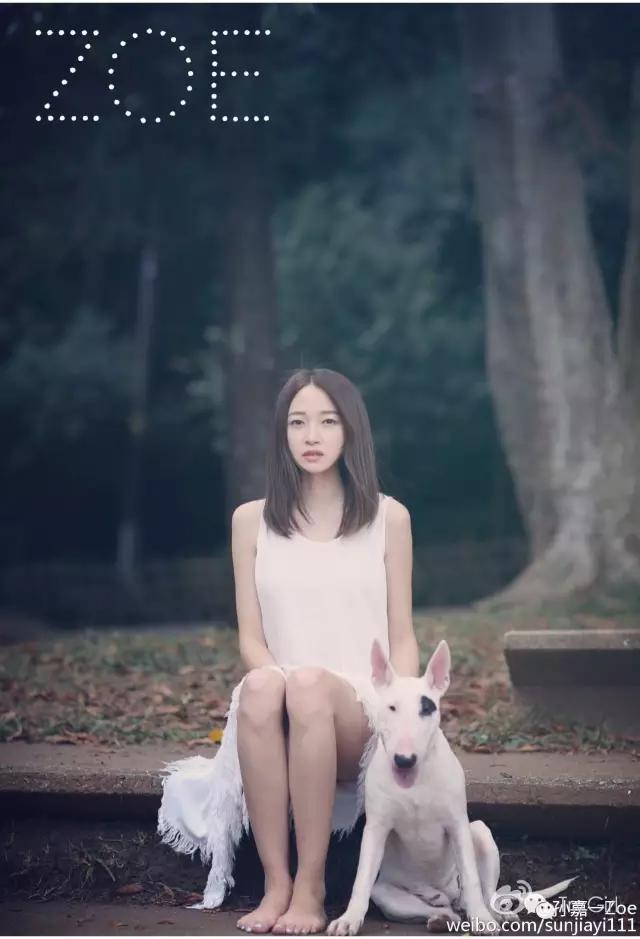 淘宝网店10大品牌,网红十大漂亮的淘宝店铺