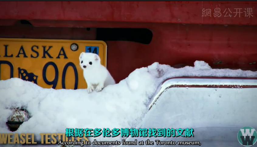 世界上最不安全的避孕方式,世界上有新型避孕方法吗