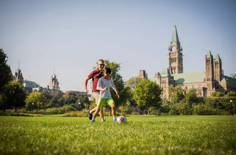 北美大陆最美一处森林风景,北美大陆的风景