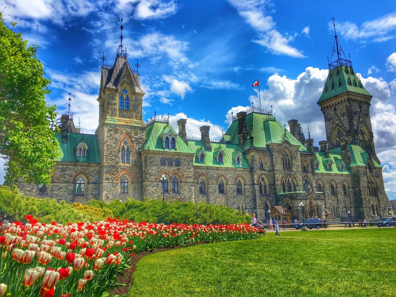 北美大陆最美一处森林风景,北美大陆的风景