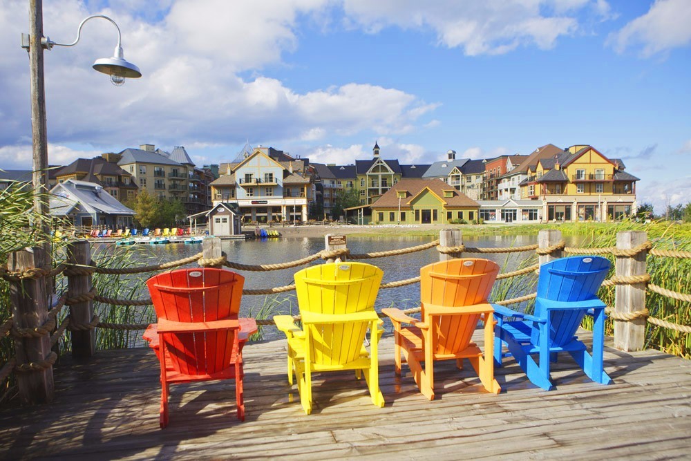 北美大陆最美一处森林风景,北美大陆的风景