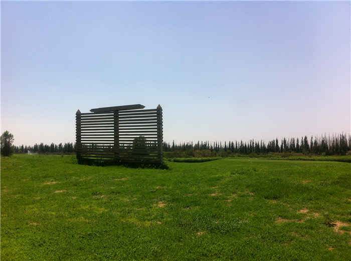 重回巴彦淖尔：八百里河套我用三天走过，十四年之痒我于一夕安放