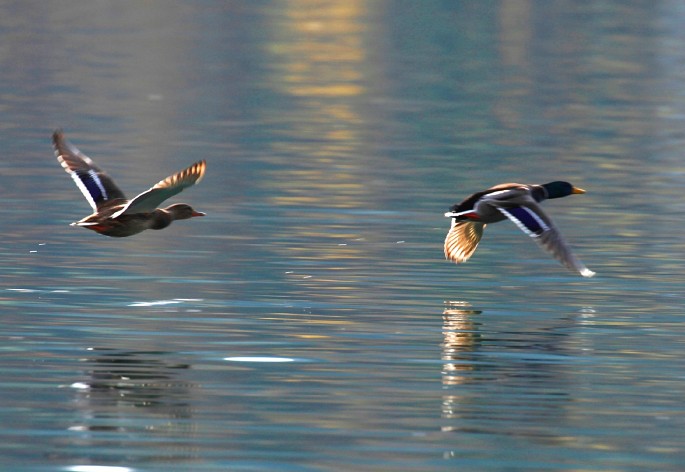 重回巴彦淖尔：八百里河套我用三天走过，十四年之痒我于一夕安放