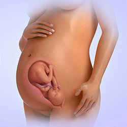 宫内感染能治好吗,宫内感染巨细胞发病的几率是多少