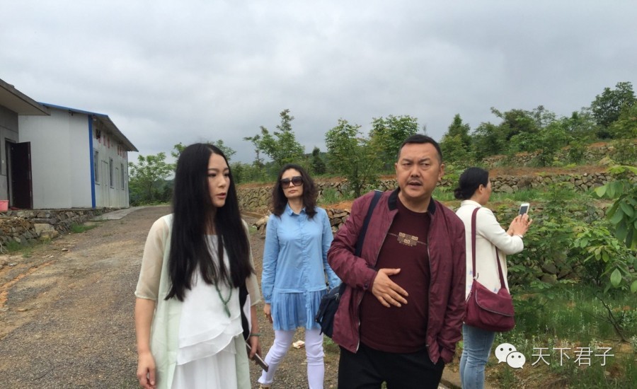 仙县仙女仙叶----青钱柳考察记—糖尿病患者的福音