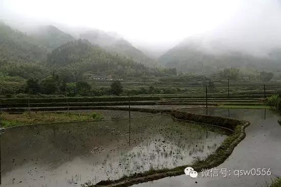 璧伴亶娼滃北,璧伴亶瀹夊窘瀹夊簡