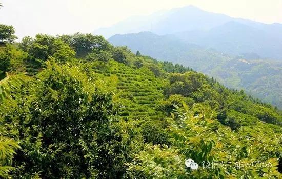 璧伴亶娼滃北,璧伴亶瀹夊窘瀹夊簡