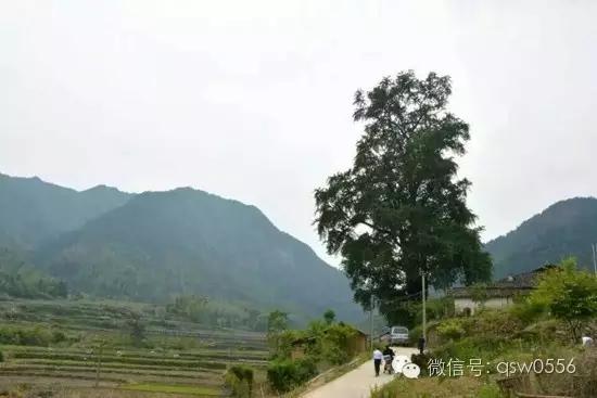 璧伴亶娼滃北,璧伴亶瀹夊窘瀹夊簡