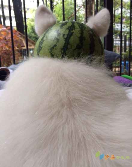 夏日遮阳帽手工最简单的,夏日遮阳帽手工儿童