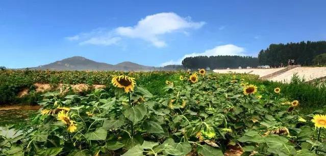 不能更赞：没想到你是这样的邹城