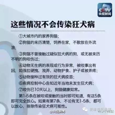 接触猫狗粪便会传染狂犬病吗,猫狗只有发病才会传染吗