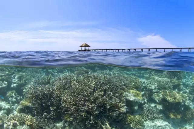 有生之年一定要去一次泰国,有生之年一定要去一次的景区